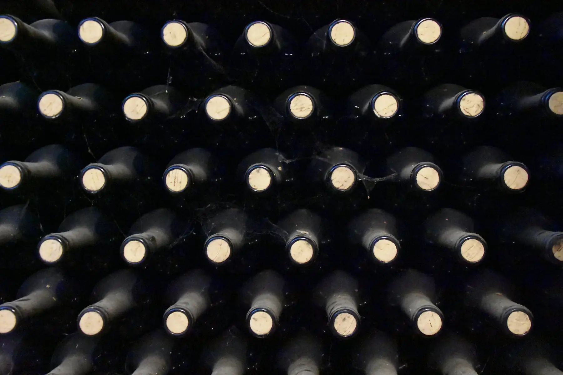 Rows of wine bottles stored on their sides