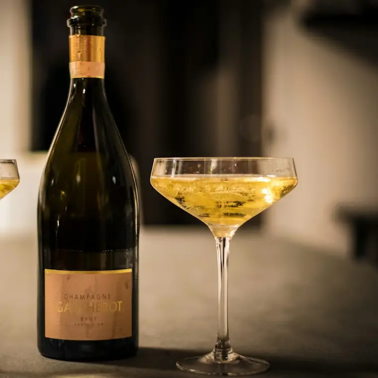 Style reference photo for KLOVEO Champagne Stopper