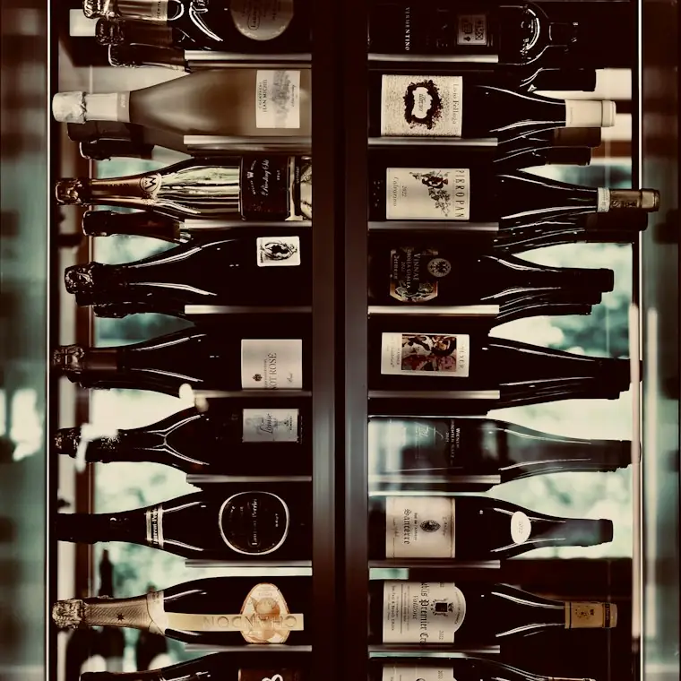Style reference photo for Wine Enthusiast 32-Bottle Dual Zone MAX Compressor