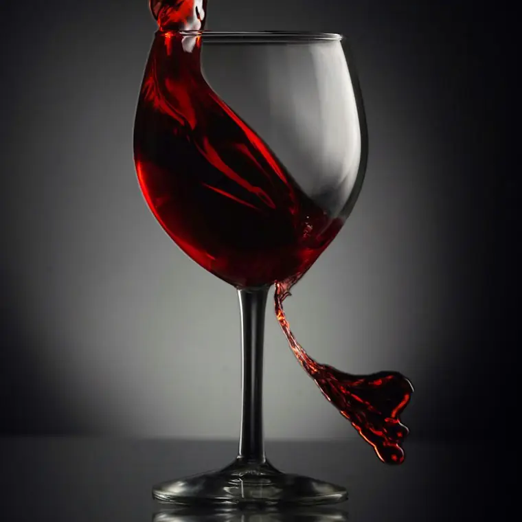 Style reference photo for Aervana Electric Wine Aerator