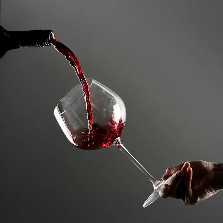 Style reference photo for Vinturi Red Wine Aerator