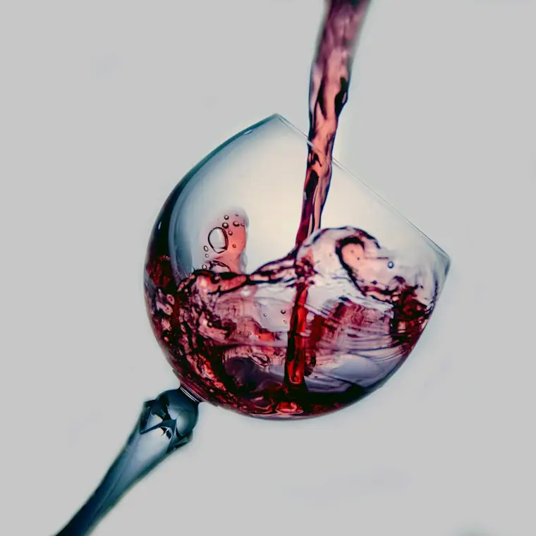 Style reference photo for Vintorio Wine Aerator Pourer